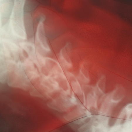 Untitled 8 - 2016 Archival Ultra Chrome Print 16x16