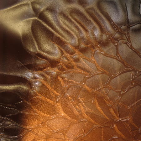 Untitled 32 - 2016 Archival Ultra Chrome Print 24x24