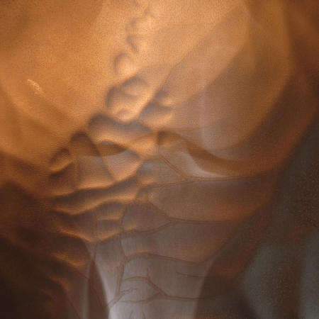Untitled 21 - 2016 Archival Ultra Chrome Print 16x16