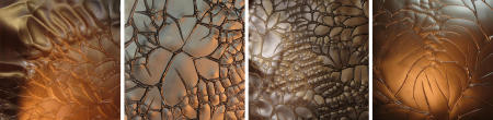 X-Ray Series Collection 1 Untitled 32, 29, 46, 31  each 24x24
