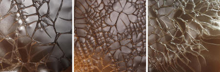 X-Ray Series Collection 3 Untitled 47, 44, 45  each 24x24