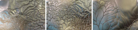 X-Ray Series Collection 4 Untitled 2, 1, 3  each16x24